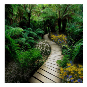 Magnificent Boardwalk Through A Fern Forest Poster