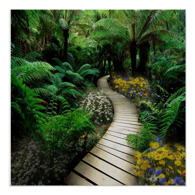 Magnificent Boardwalk Through A Fern Forest Poster (Front)