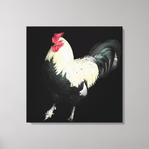 Magnificent Cockerel No 1 Canvas Print