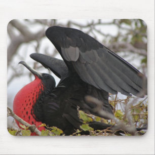 Magnificent Frigate Bird Mouse Mat