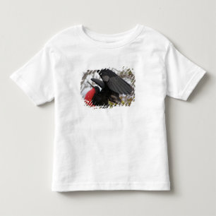 Magnificent Frigate Bird Toddler T-Shirt