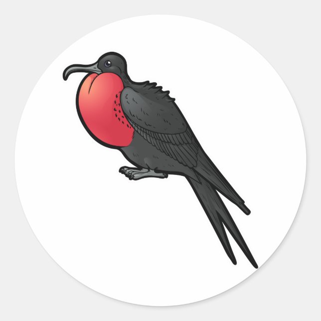Magnificent Frigatebird Classic Round Sticker (Front)