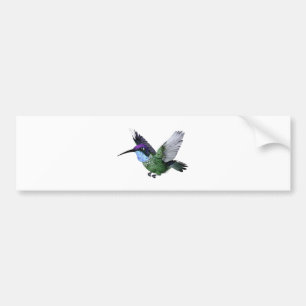 Magnificent Hummingbird Bumper Sticker