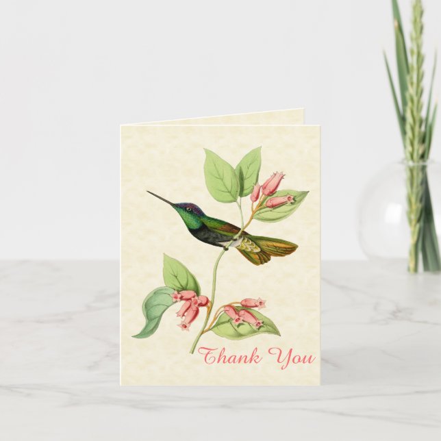 Magnificent Hummingbird Thank You Note Card (Front)