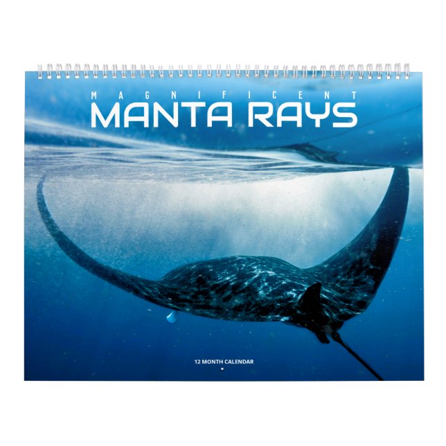 Magnificent Manta Rays Calendar (Cover)