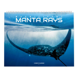 Magnificent Manta Rays Calendar