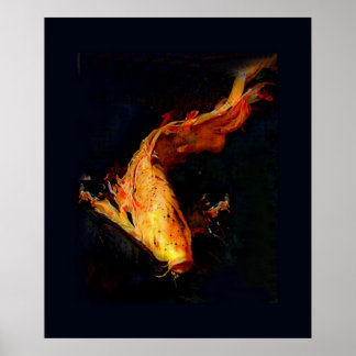 Magnificent Orange Koi Poster