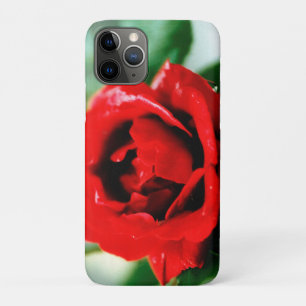 Magnificent red rose with morning dew drops   iPhone 11 pro case