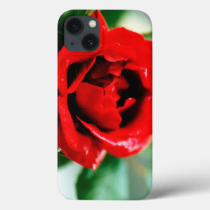 Magnificent red rose with morning dew drops iPhone 13 case