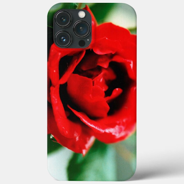 Magnificent red rose with morning dew drops  Case-Mate iPhone case (Back)