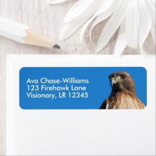 Magnificent Red-Tailed Hawk in the Sun