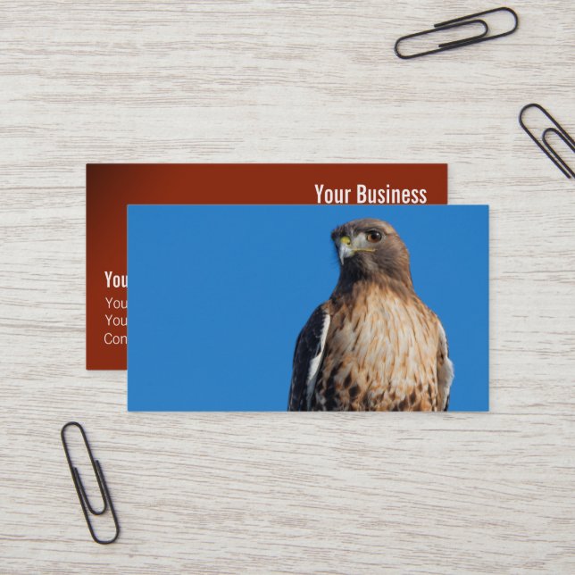 Magnificent Red-Tailed Hawk in the Sun Business Card (Front/Back In Situ)