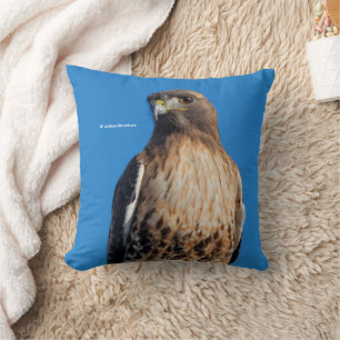 Magnificent Red-Tailed Hawk in the Sun Cushion