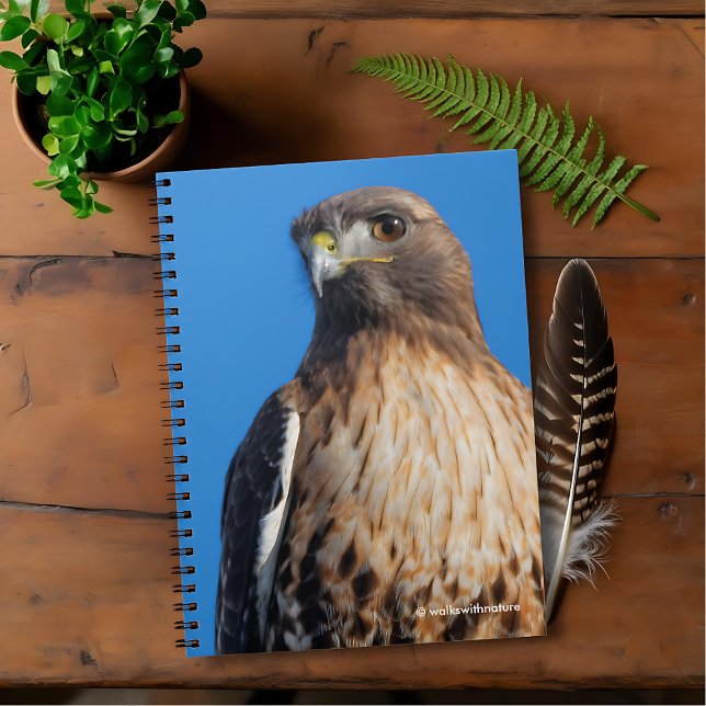 Magnificent Red-Tailed Hawk in the Sun Notebook (Magnificent Red-Tailed Hawk in the Sun Journal Cover Photo 1)