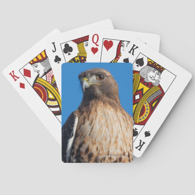 Magnificent Red-Tailed Hawk in the Sun Playing Cards (Back)