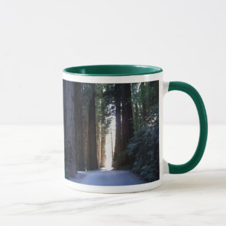 Magnificent Redwoods Mug