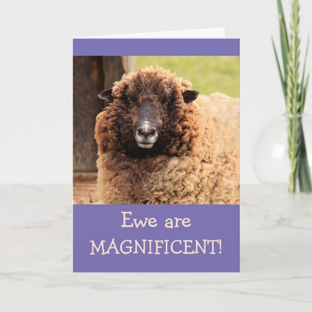 Magnificent Sheep Happy Birthday Card (Front)