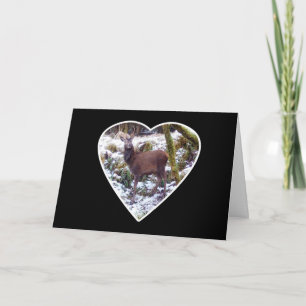 Magnificent Snowy Red Deer Heart Forest River  Card