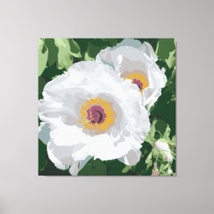 Magnificent white peony on canvas print