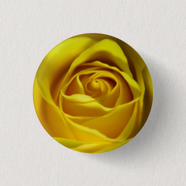 Magnificent yellow rose macro picture 3 cm round badge (Front)