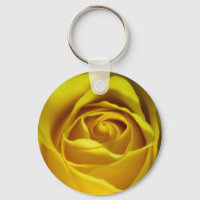 Magnificent yellow rose macro picture