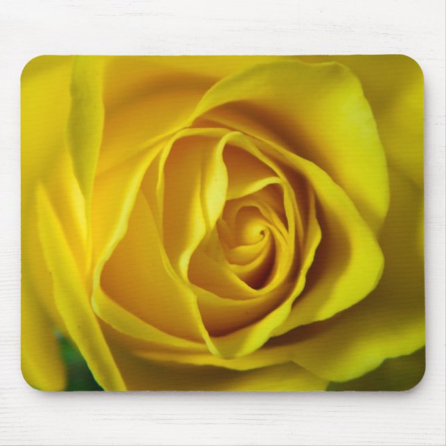 Magnificent yellow rose macro picture mouse mat (Front)