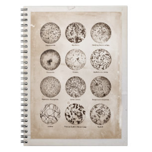 Magnified Bacteria Vintage Medicine Chart Notebook