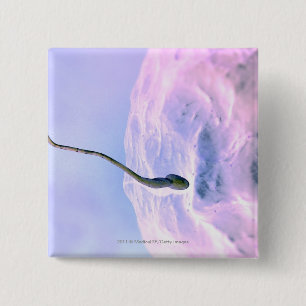 Magnified look at a sperm fertilising an egg 15 cm square badge