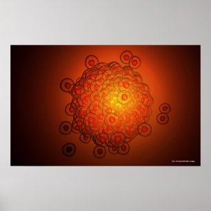 Magnified look at an ovum poster