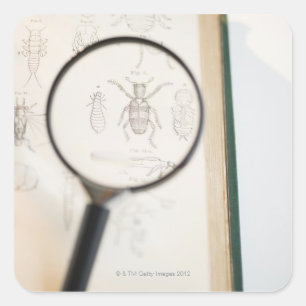 Magnifying glass over book showing insects square sticker