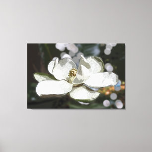 Magnolia 2760 canvas print