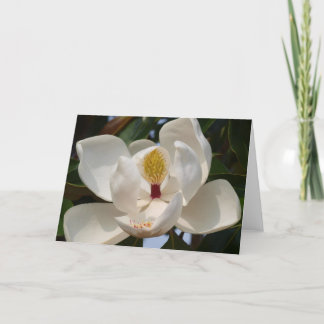 Magnolia 72 card