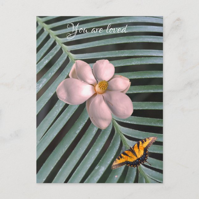 Magnolia art    postcard (Front)