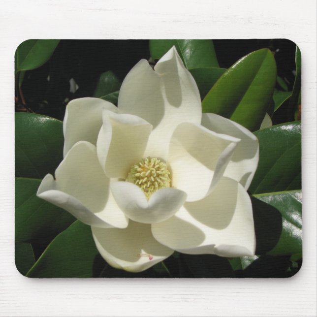 Magnolia Bloom Mouse Mat (Front)