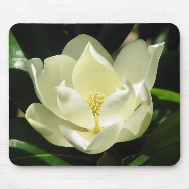 Magnolia Bloom Mouse Mat (Front)