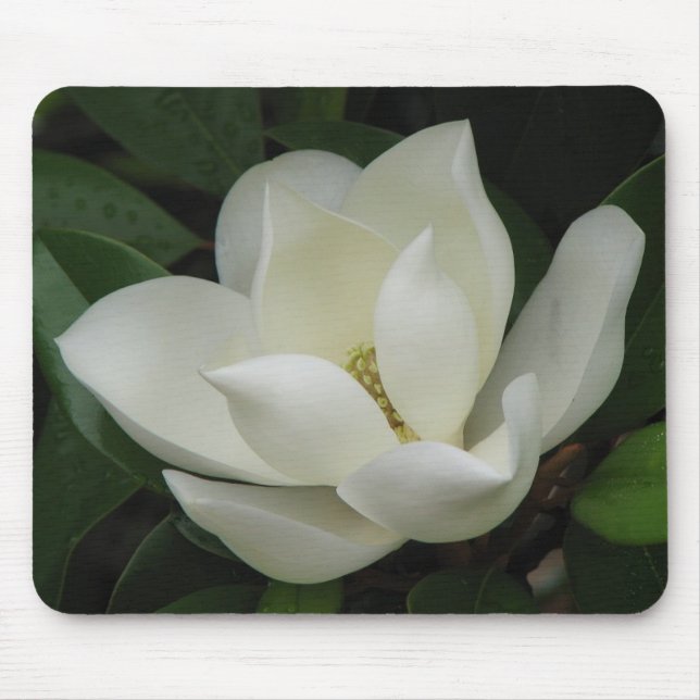 Magnolia Bloom Mouse Mat (Front)