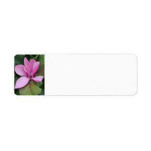 Magnolia Bloom Return Address