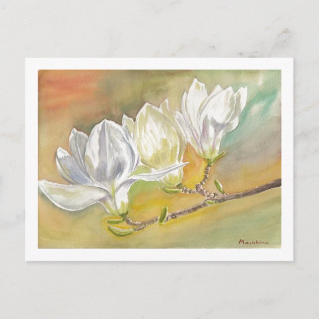 Magnolia Blooming Watercolor by E.Mashkina Postcard (Front)