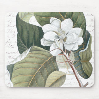 Magnolia Blossom and Clara Balfour Text Collage Mouse Mat