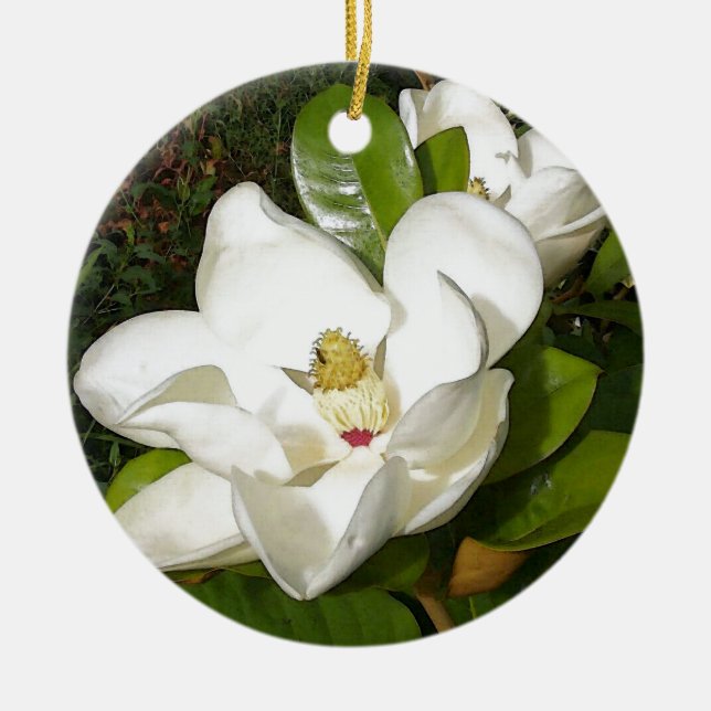 Magnolia Blossom Ceramic Tree Decoration (Front)