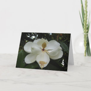 Magnolia Blossom Note Card