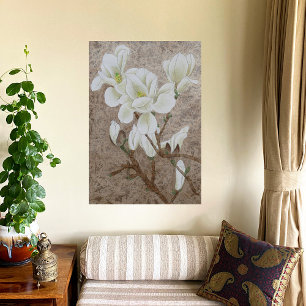 Magnolia Blossom  Photo Print