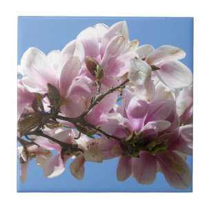 Magnolia Blossom Tile