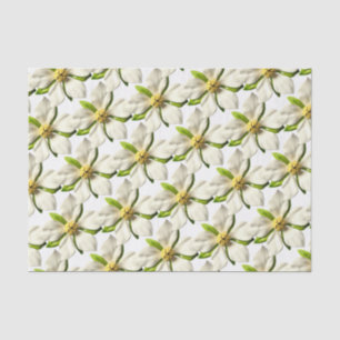 Magnolia Blossom Tropical Flower - Summer Wedding Tissue Paper