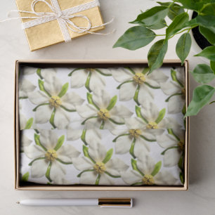Magnolia Blossom Tropical Flower - Summer Wedding Tissue Paper