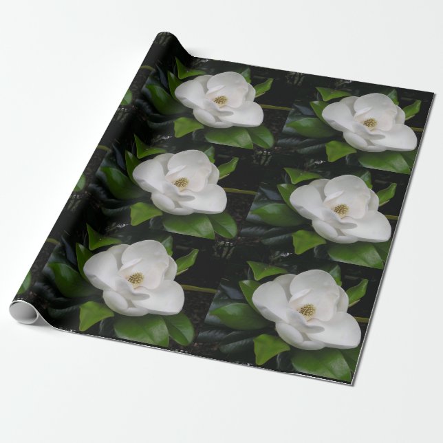 Magnolia Blossom Wrapping Paper (Unrolled)