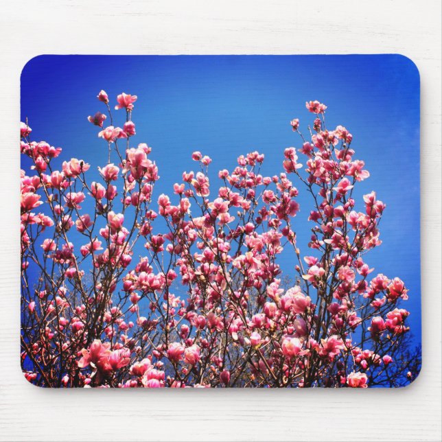 Magnolia Blossoms Blue Sky Flower  Mouse Mat (Front)
