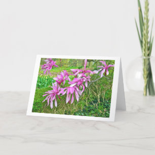 Magnolia Blossoms (photog) Card