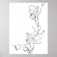 Magnolia Botanical Line Art