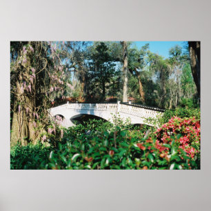 Magnolia Bridge Poster